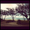 jennys916